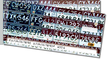 Michigan License Plate Side Tear Checks