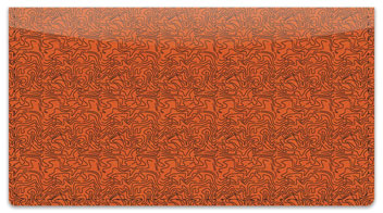 Rust Topographic Checkbook Cover