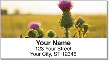 Thistle Address Labels