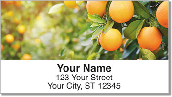 Fruit Tree Address Labels