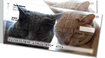 Cat Nap Side Tear Checks