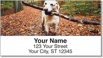 Labrador Address Labels