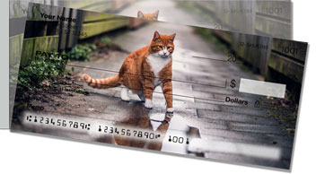Alley Cat Side Tear Checks