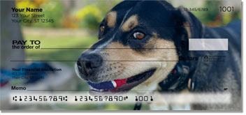 Dog & Cat Checks