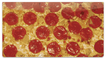 Pizza Checkbook Cover