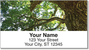 Tree Close Up Address Labels