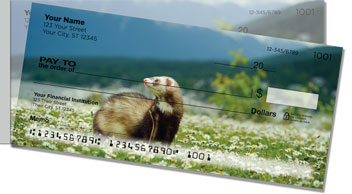 Ferret Side Tear Checks