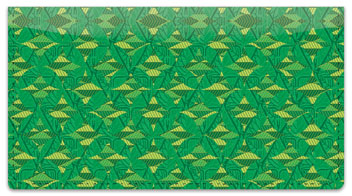 Patterns in Green Checkbook Cover