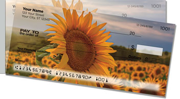 Sunflower Side Tear Checks