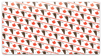 Oh Canada! Checkbook Cover
