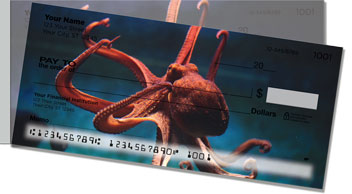 Octopus Side Tear Checks