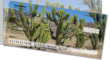Cactus Side Tear Checks