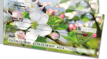 Apple Blossom Side Tear Checks