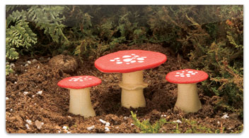 Enchanted Mushroom Checkbook Cover