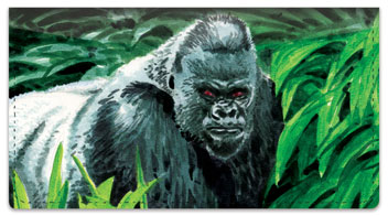 Meyer Animal Checkbook Cover