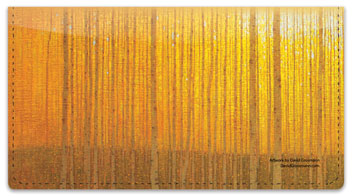 Grossmann Season Checkbook Cover