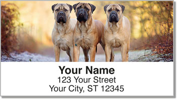 Mastiff Address Labels