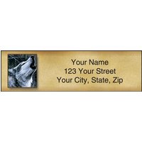 In The Wild Address Labels