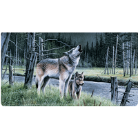In the Wild Leather Wallet Style Checkbook Cover