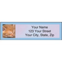 Cute Kittens Address Labels