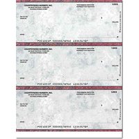 Executive Gray Laser Checks Check No Voucher w/o Lines Singles