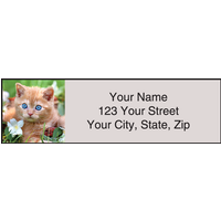 Kitty Review Address Labels Set of 200
