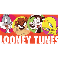 Looney Tunes Checkbook Cover