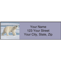 Earth Echoes Address Labels Set of 200
