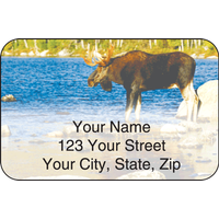 Wildlife Address Labels