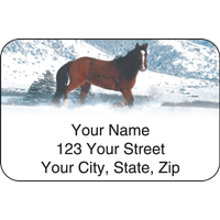Horse Enthusiast Address Labels