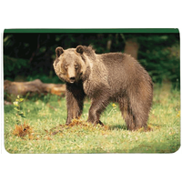 Wildlife 2 Top Stub Checkbook Cover