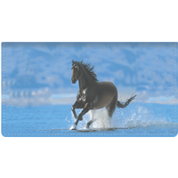 Horse Enthusiast Leather Checkbook Cover