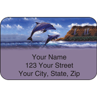 Dolphins Address Labels