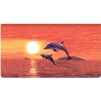Dolphins Leather Checkbook Cover