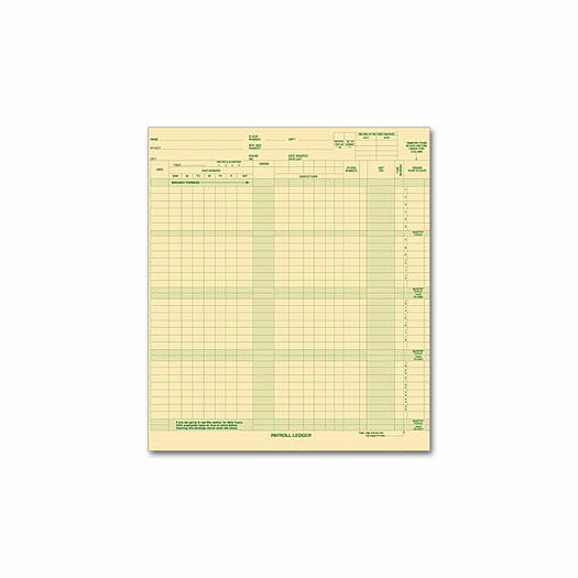 Expense/Payroll Ledger