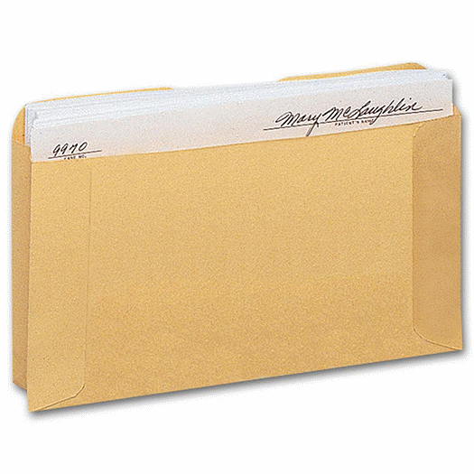 Expansion Card File Pocket, Buff