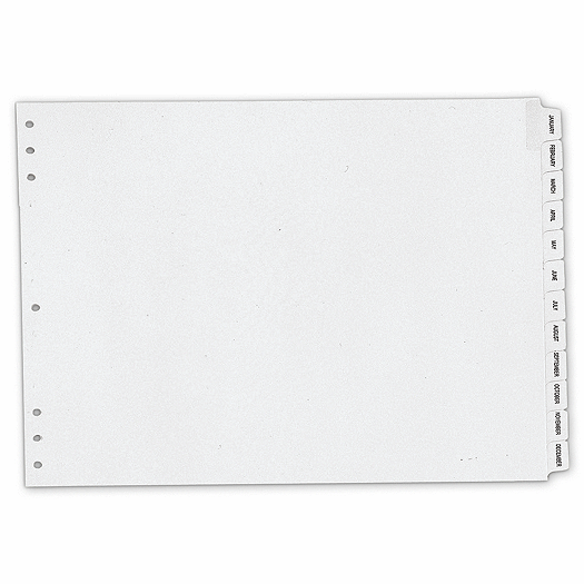 Timescan Monthly Index Divider 17 x 11