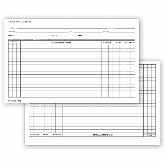 Single Animal Exam Records, Horizontal
