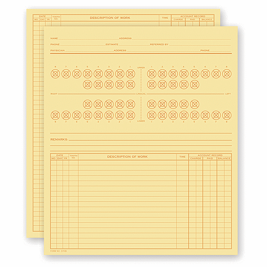 Dental Exam Record, Numbered Teeth System B, Folder Style