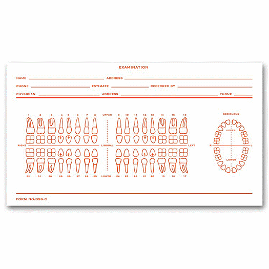 Dental Exam Record Slips, Numbered Teeth System C