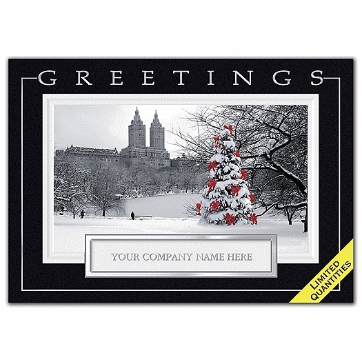 Central Park Joy Holiday Cards