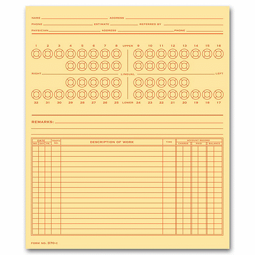 Dental Exam Record, Numbered Teeth System C, Folder Style