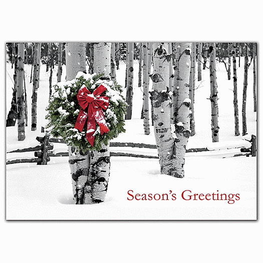 Birch Grove Holiday Cards