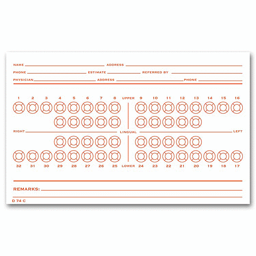 Dental Exam Card File Record, Numbered Teeth System C
