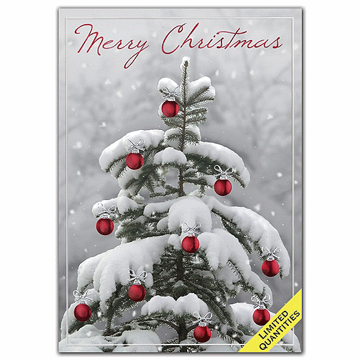 Snow Wonder Christmas Cards
