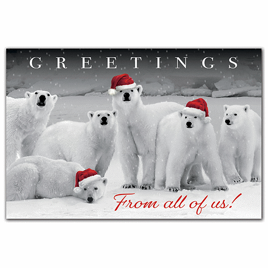 Polar Pack Holiday Postcards