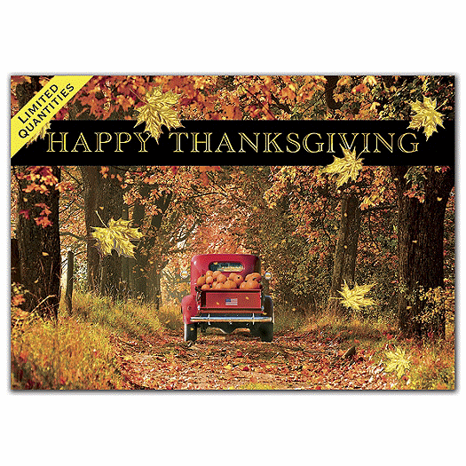 Prideful Pumpkins Thanksgiving Cards