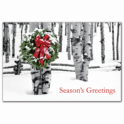 Birch Grove Holiday Postcards