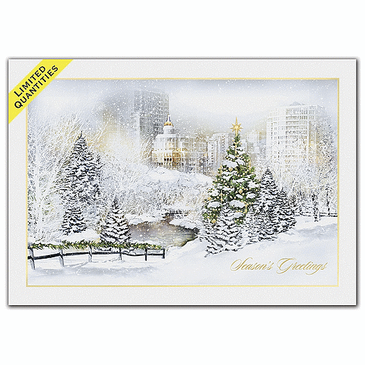 Filled with Wonder Holiday Cards