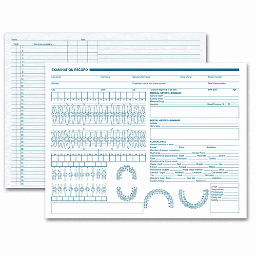Dental Exam Record, Primary Arch & Geometric Diagrams